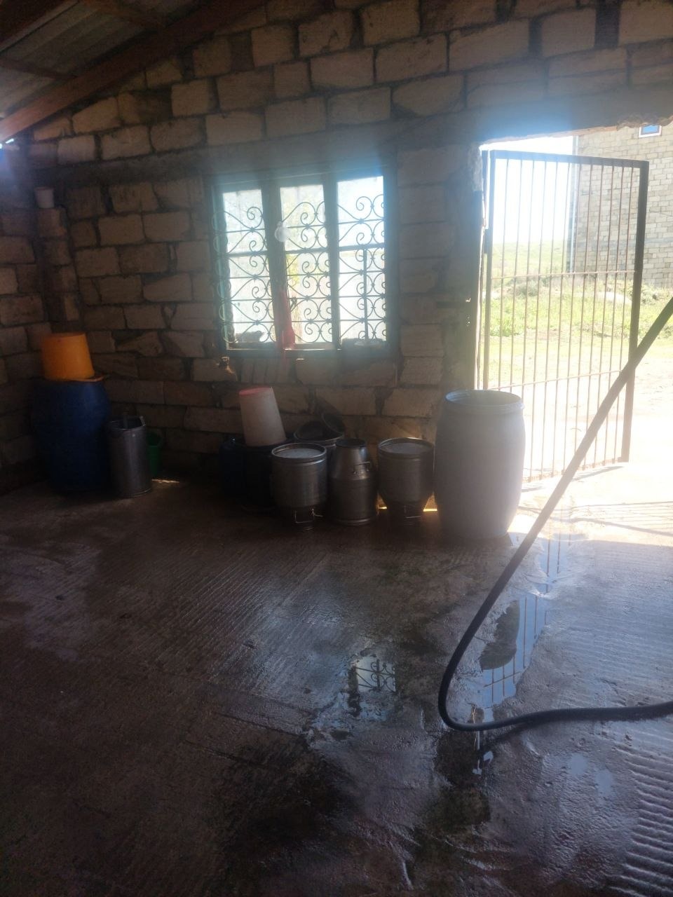 Beyləqanda süd qəbulu məntəqəsinin rəhbəri  inzibati məsuliyyətə cəlb olundu (FOTO)